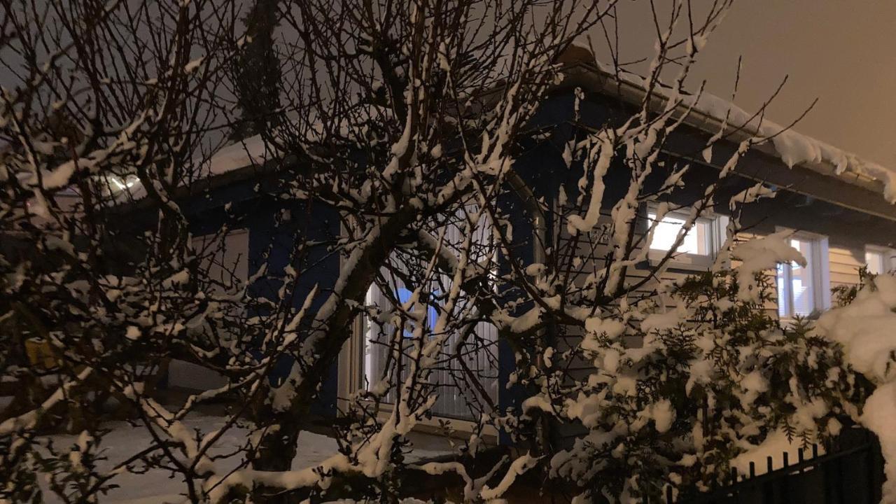Blaues Ferienhaus 韦尼格罗德 外观 照片